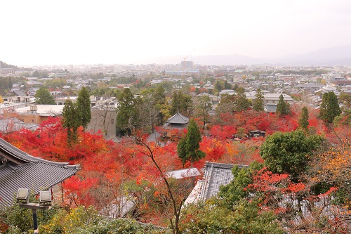 f:id:takiji05:20190114171148j:plain f:id:takiji05:20190114171148j:plain