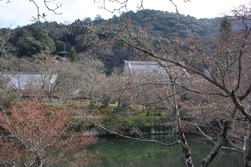 f:id:takiji05:20190114172025j:plain f:id:takiji05:20190114172025j:plain