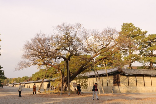 f:id:takiji05:20190119214848j:plain f:id:takiji05:20190119214848j:plain