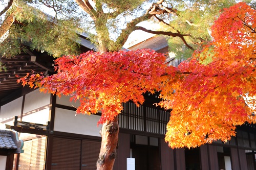 f:id:takiji05:20190119215228j:plain f:id:takiji05:20190119215228j:plain