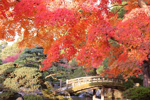 f:id:takiji05:20190119215241j:plain f:id:takiji05:20190119215241j:plain