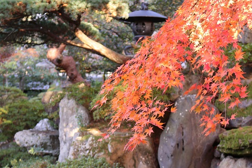 f:id:takiji05:20190119215303j:plain f:id:takiji05:20190119215303j:plain