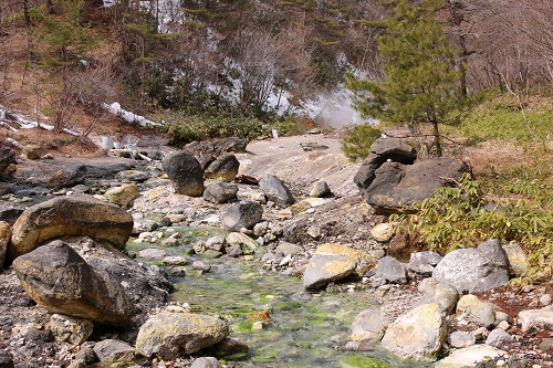 f:id:takiji05:20190314232957j:plain