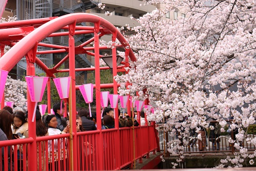 f:id:takiji05:20190402215548j:plain f:id:takiji05:20190402215548j:plain