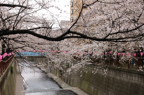 f:id:takiji05:20190402215633j:plain f:id:takiji05:20190402215633j:plain