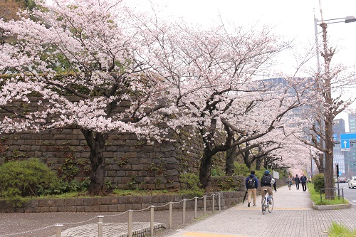 f:id:takiji05:20190404232134j:plain f:id:takiji05:20190404232134j:plain