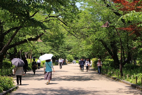 f:id:takiji05:20190608134003j:plain