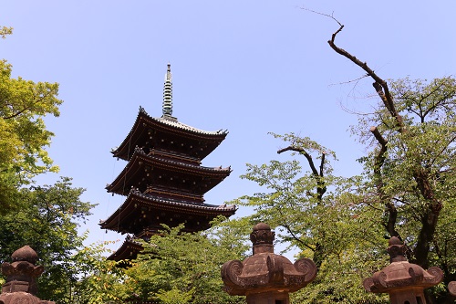 f:id:takiji05:20190608134056j:plain