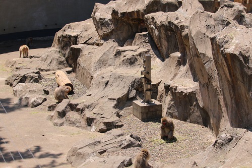 f:id:takiji05:20190608134217j:plain