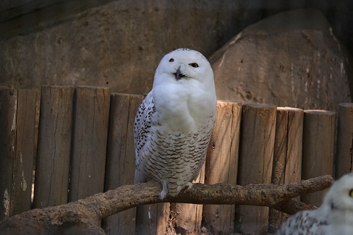 f:id:takiji05:20190608134318j:plain