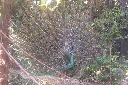 f:id:takiji05:20190608134350j:plain