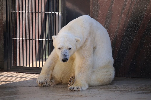 f:id:takiji05:20190608134432j:plain