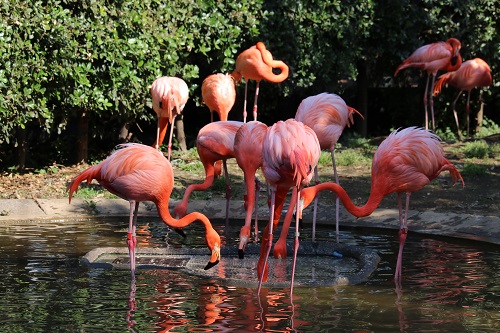 f:id:takiji05:20190608134444j:plain