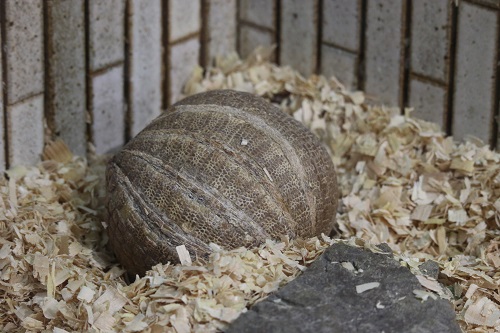 f:id:takiji05:20190608134508j:plain