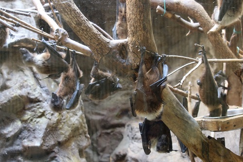 f:id:takiji05:20190608134518j:plain