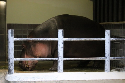 f:id:takiji05:20190608134529j:plain