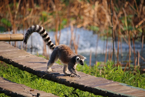 f:id:takiji05:20190608134544j:plain