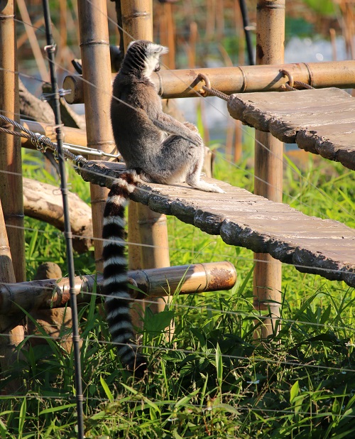 f:id:takiji05:20190608134553j:plain