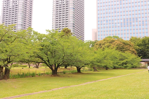 f:id:takiji05:20190615230820j:plain f:id:takiji05:20190615230820j:plain