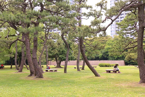 f:id:takiji05:20190615230839j:plain f:id:takiji05:20190615230839j:plain