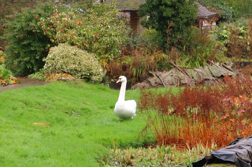 f:id:takiji05:20200320171933j:plain f:id:takiji05:20200320171933j:plain