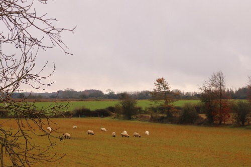 f:id:takiji05:20200320172055j:plain f:id:takiji05:20200320172055j:plain