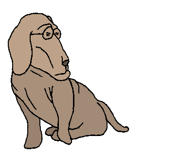 アンドレ・ヴェイヌ