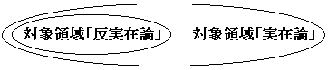 反実在論という対象領域が実在論という対象領域に包摂されている図