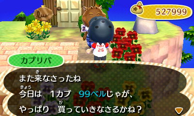 村長 カブで大失敗 のんびりしようよ どうぶつの森