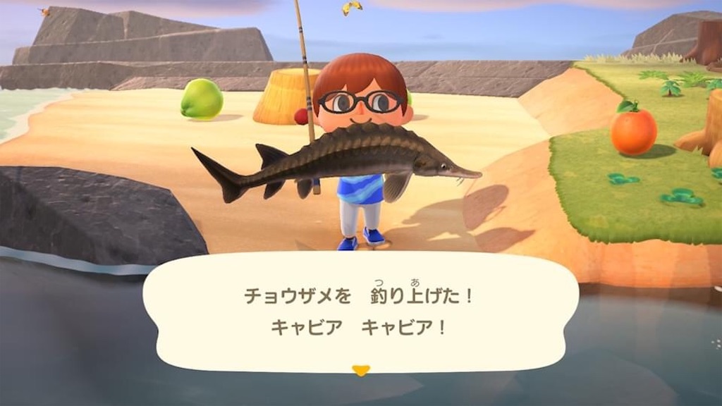 あつ 森 チョウザメ 島 あつ森 初心者必見 島選びのすすめ 取り返しのつかない要素まとめ