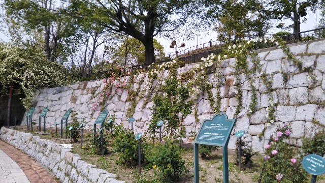 f:id:takiko2:20200502183111j:image