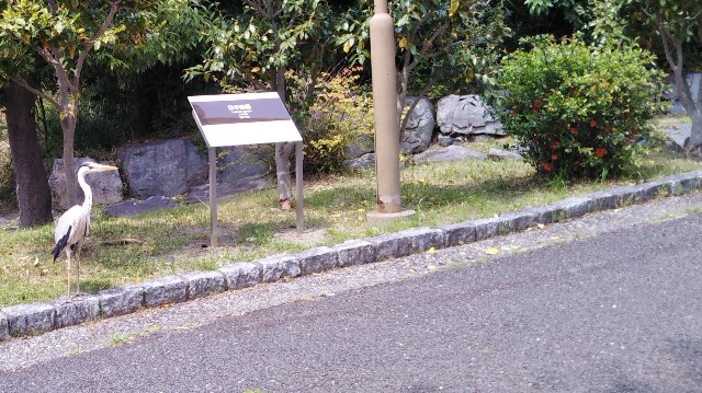 f:id:takiko2:20200509093518j:image