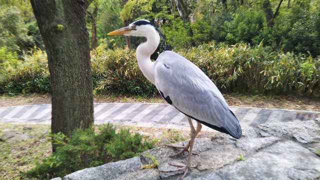 f:id:takiko2:20200509093933j:image
