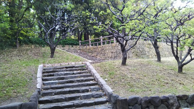 f:id:takiko2:20200509095021j:image