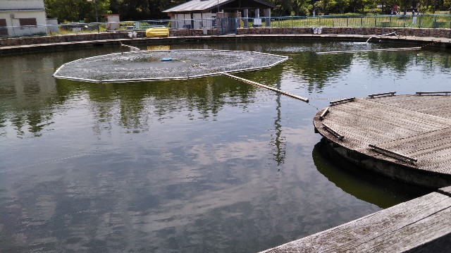 f:id:takiko2:20200512150217j:image f:id:takiko2:20200512150217j:image