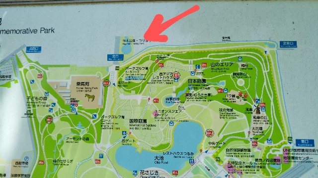 f:id:takiko2:20200514134156j:image f:id:takiko2:20200514134156j:image