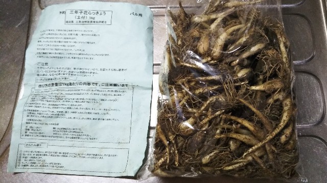 f:id:takiko2:20200619121653j:image