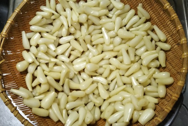 f:id:takiko2:20200619121912j:image