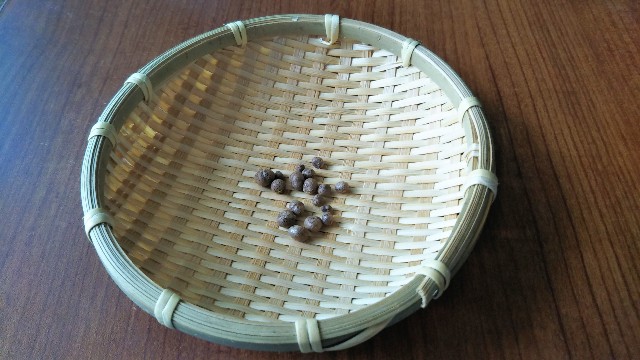 f:id:takiko2:20200904101847j:image f:id:takiko2:20200904101847j:image