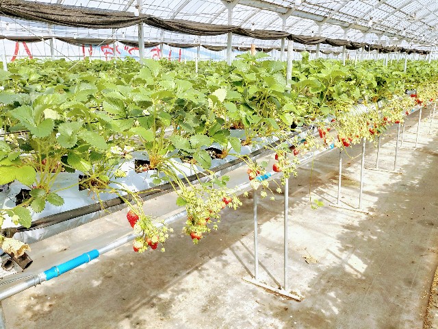 f:id:takiko2:20210408180759j:image