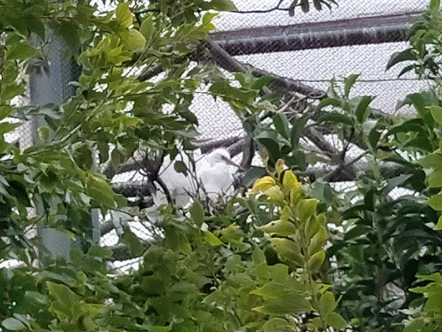 f:id:takiko2:20210815213357j:image f:id:takiko2:20210815213357j:image