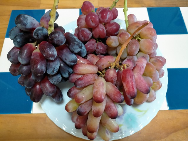 今年も珍しいぶどうが届いた♡勝沼のぶどうをお取り寄せ - 続