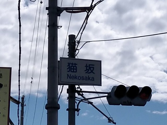 f:id:takiko2:20210930135433j:image