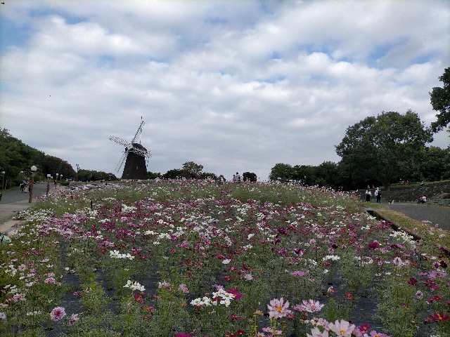 f:id:takiko2:20211019122440j:image f:id:takiko2:20211019122440j:image