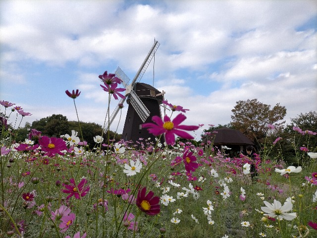 f:id:takiko2:20211019122456j:image f:id:takiko2:20211019122456j:image