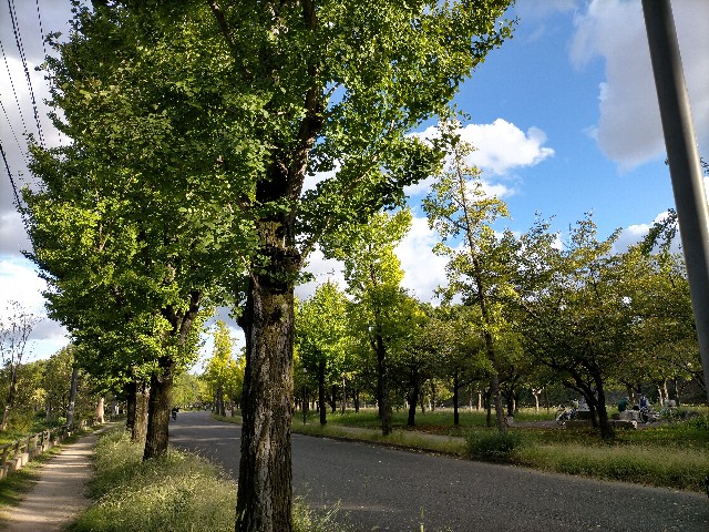 f:id:takiko2:20211019122637j:image f:id:takiko2:20211019122637j:image