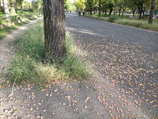 f:id:takiko2:20211019122656j:image f:id:takiko2:20211019122656j:image