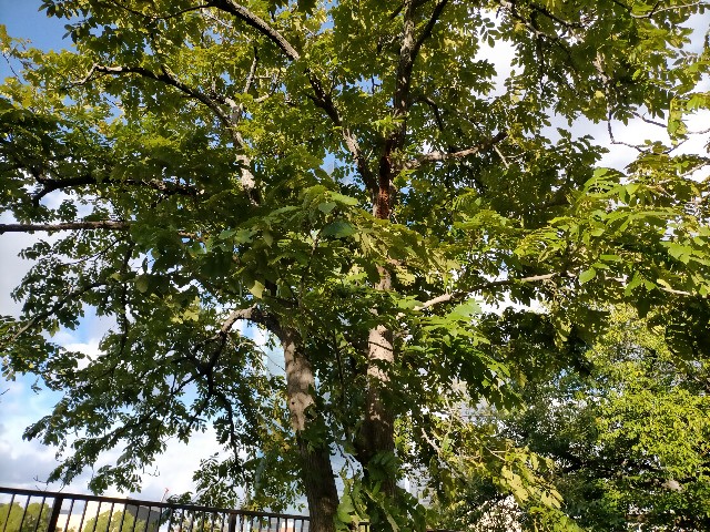 f:id:takiko2:20211019122712j:image f:id:takiko2:20211019122712j:image