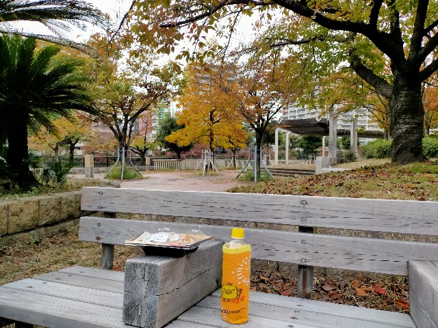 f:id:takiko2:20211112090735j:image