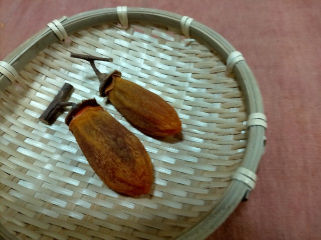 f:id:takiko2:20211122110209j:image